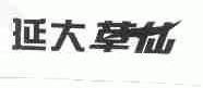 延大草仙