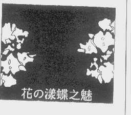 花漾蝶之魅