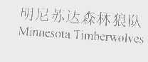 明尼苏达森林狼队   MINNESOTA TIMBERWOLVES