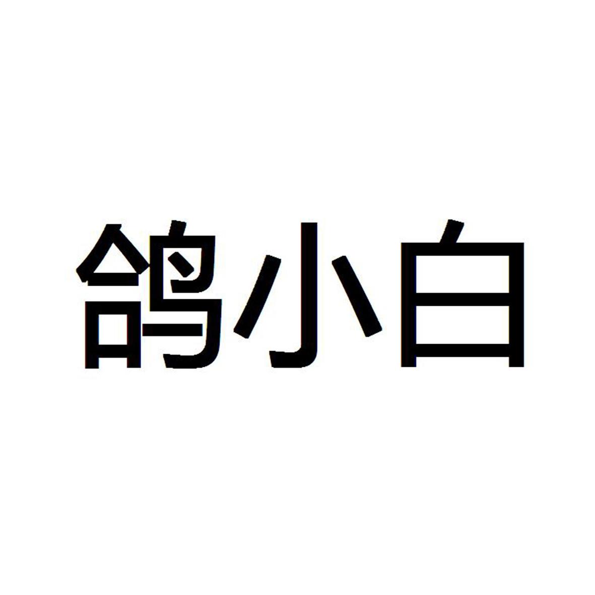 鸽小白