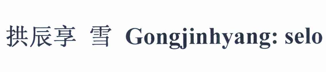 供辰享雪 GONGJINHYANG SELO