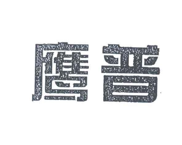 鹰普