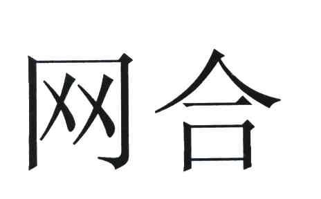 网合