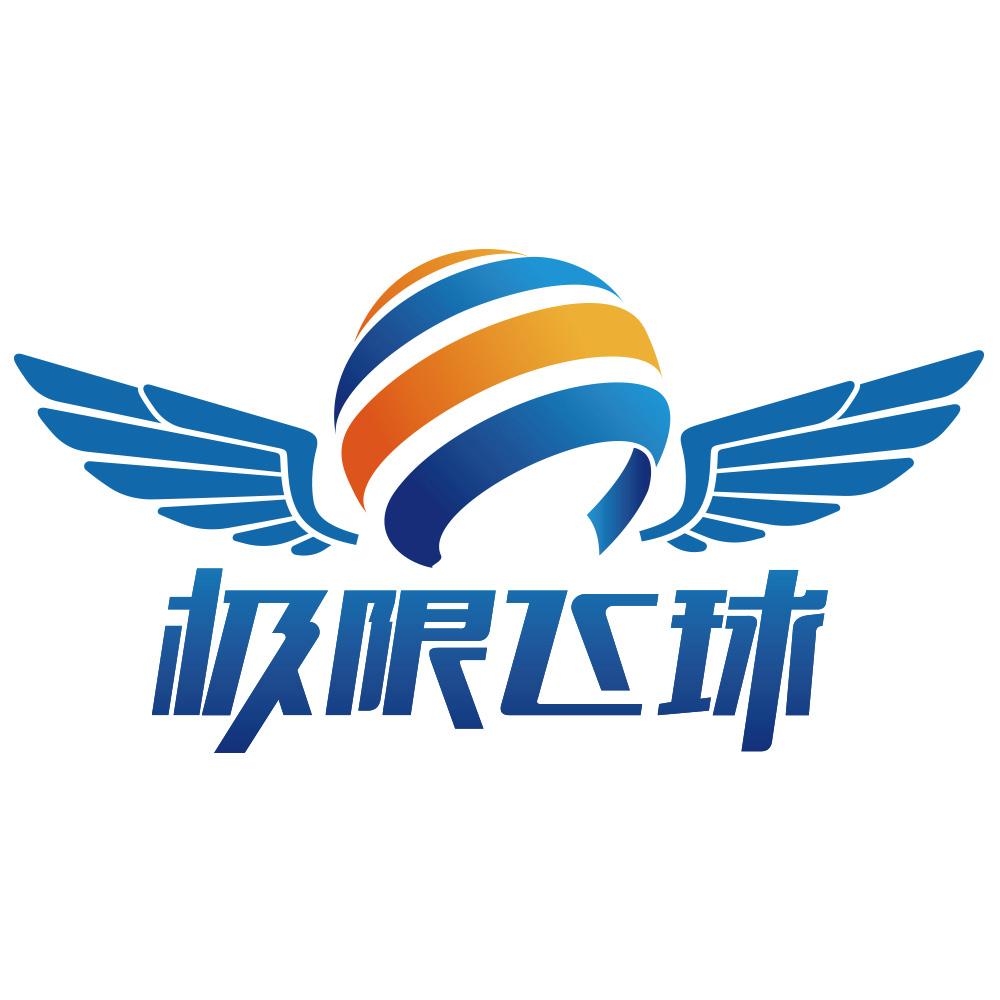 极限飞球