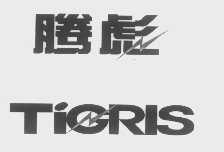 腾彪   TIGRIS