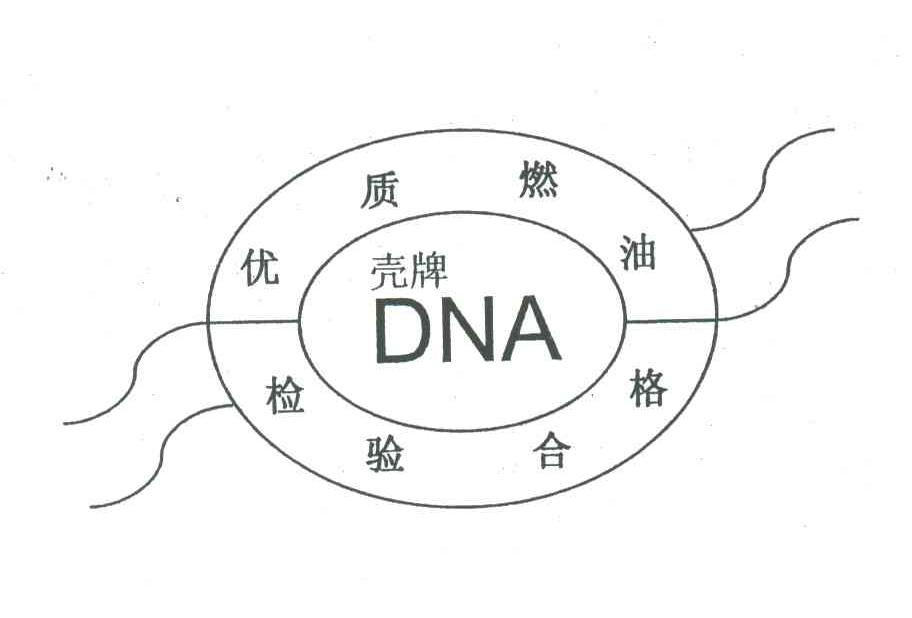 DNA;壳