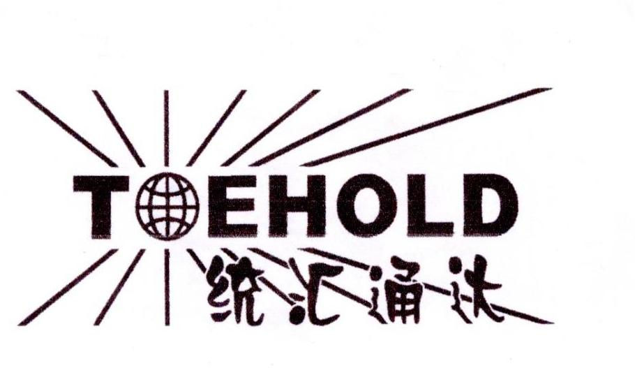 统汇通达 TOEHOLD