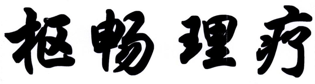 枢畅理疗