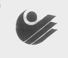 图形