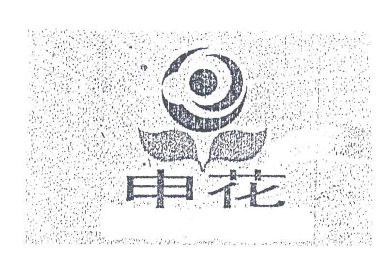申花