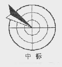 中标