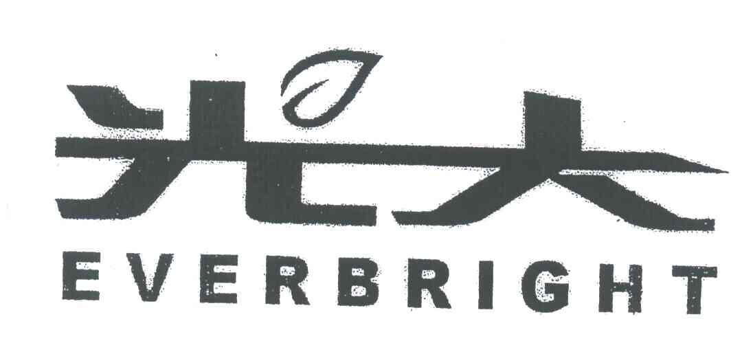 光大;EVERBRIGHT