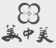 美中美