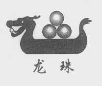 龙珠