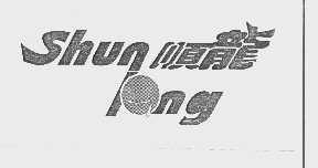 顺龙