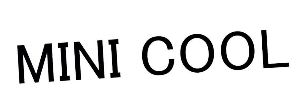 MINI COOL
