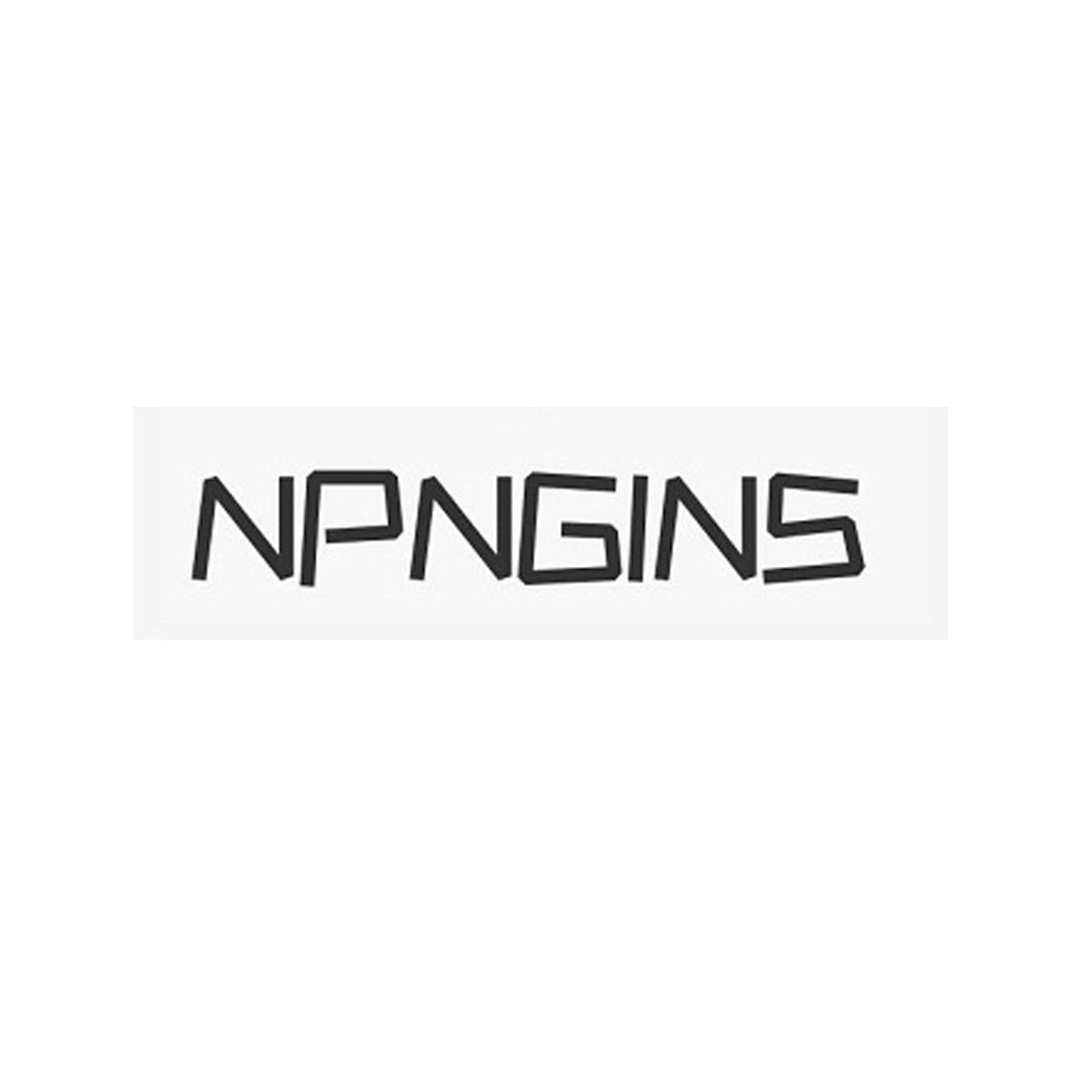 NPNGINS