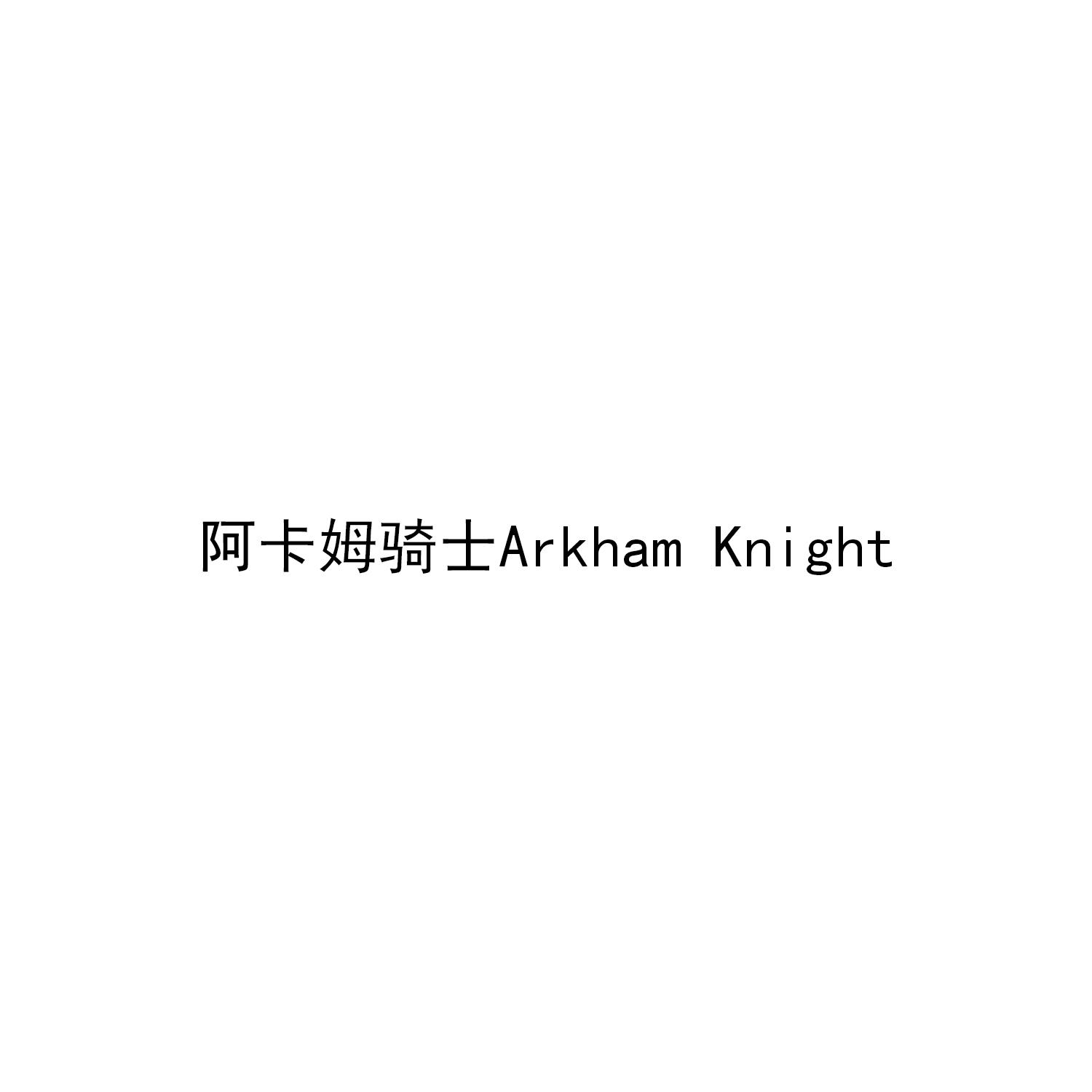 阿卡姆骑士 ARKHAM KNIGHT