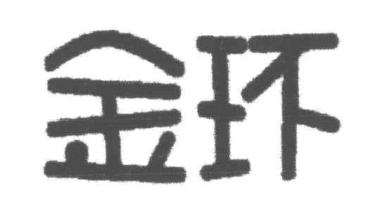 金环