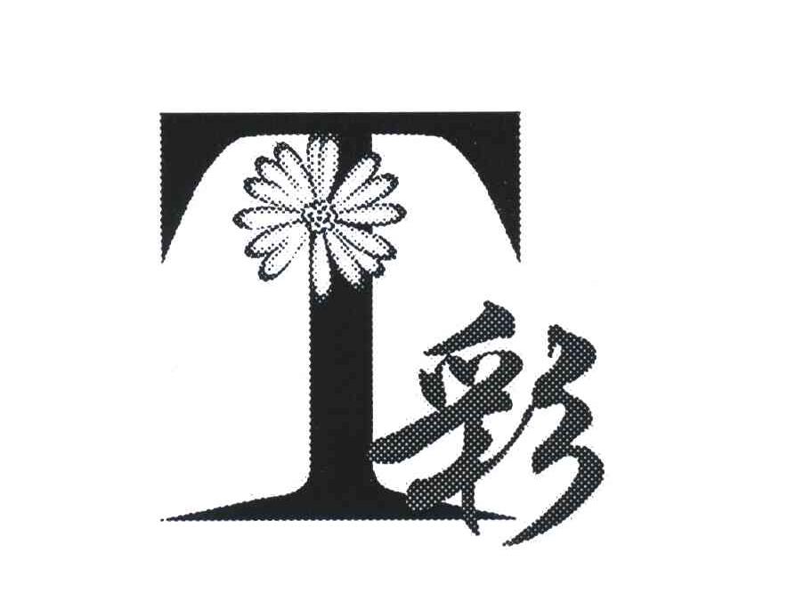 彩 T