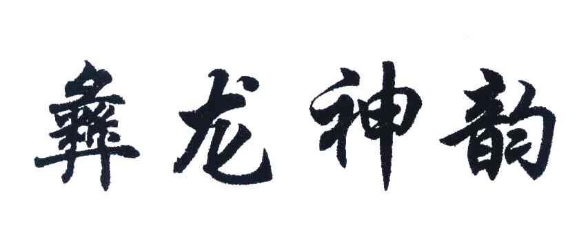 彝龙神韵