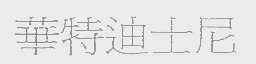 华特迪士尼
