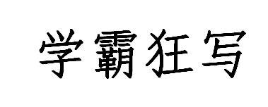 学霸狂写