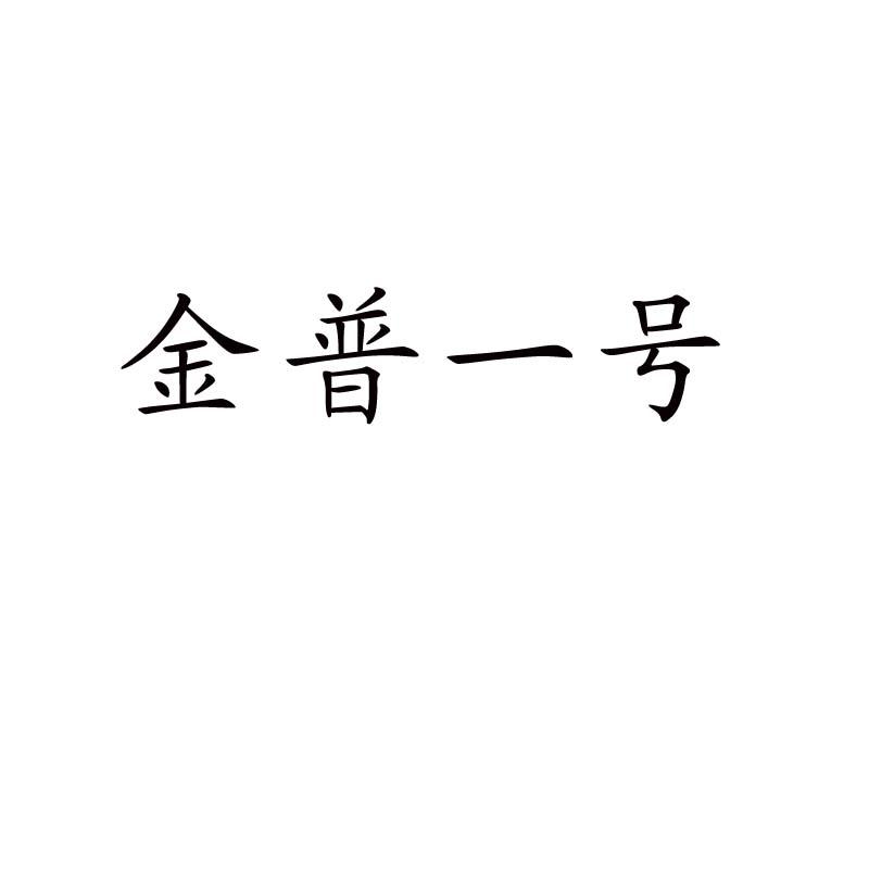 金普一号