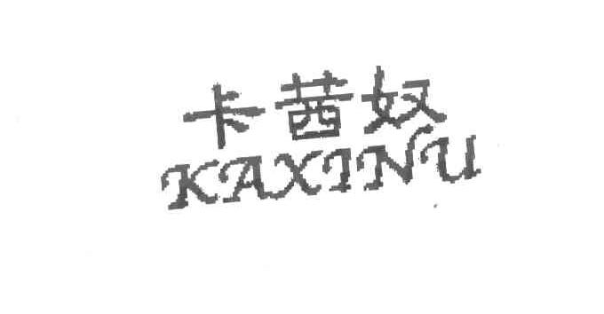 卡茜奴