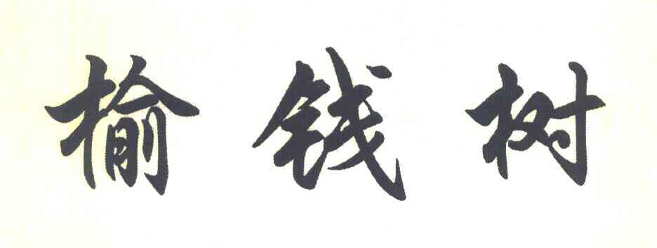 榆钱树