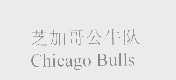 芝加哥公牛队   CHICAGO BULLS