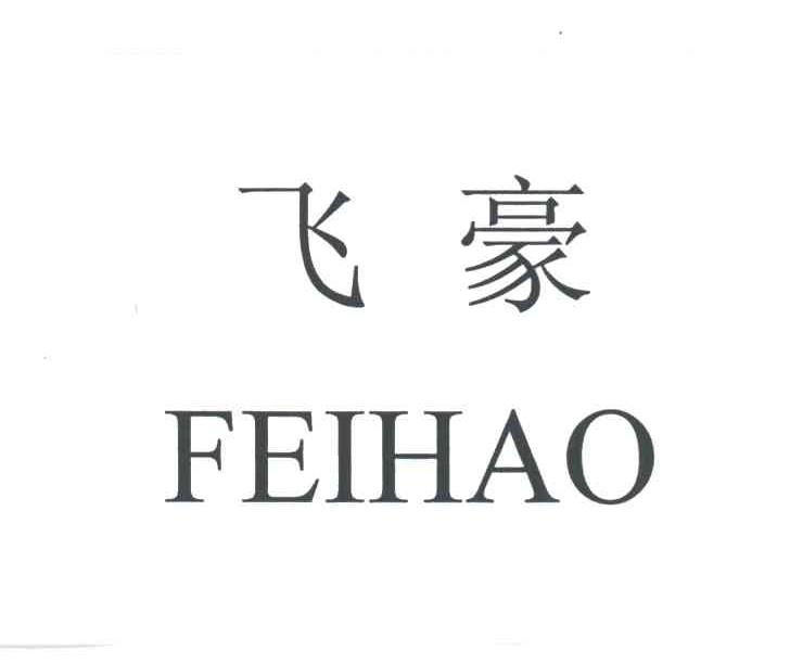 飞豪
