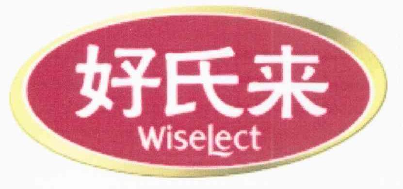 好氏来 WISELECT