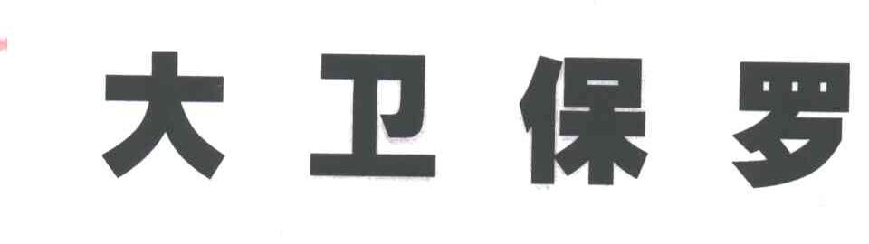 大卫保罗
