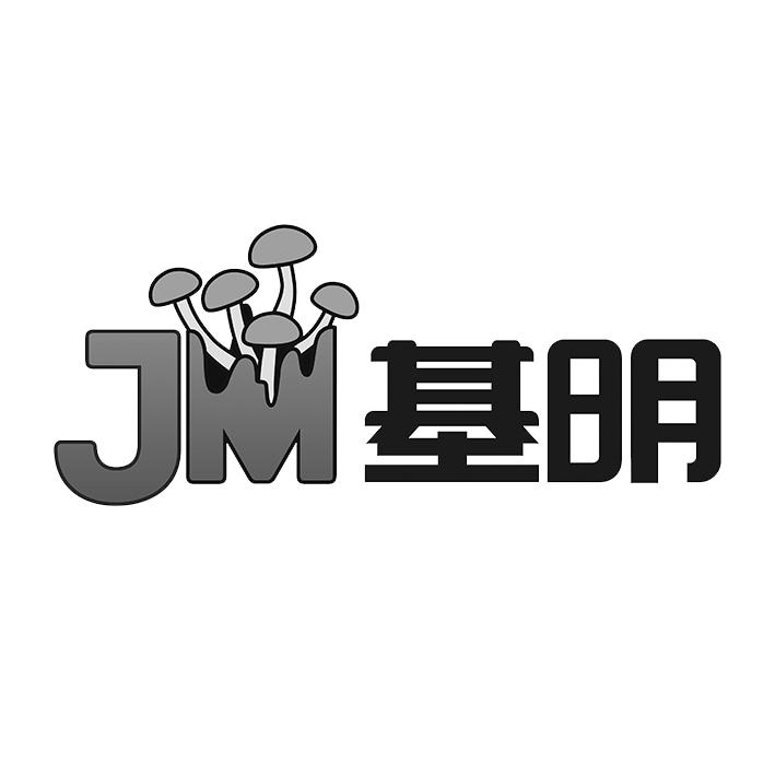 JM 基明