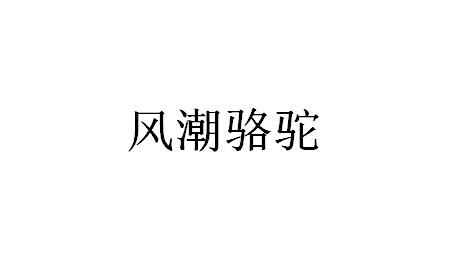 风潮骆驼