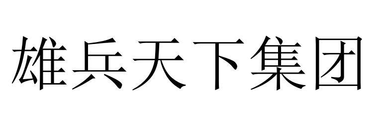 雄兵天下集团