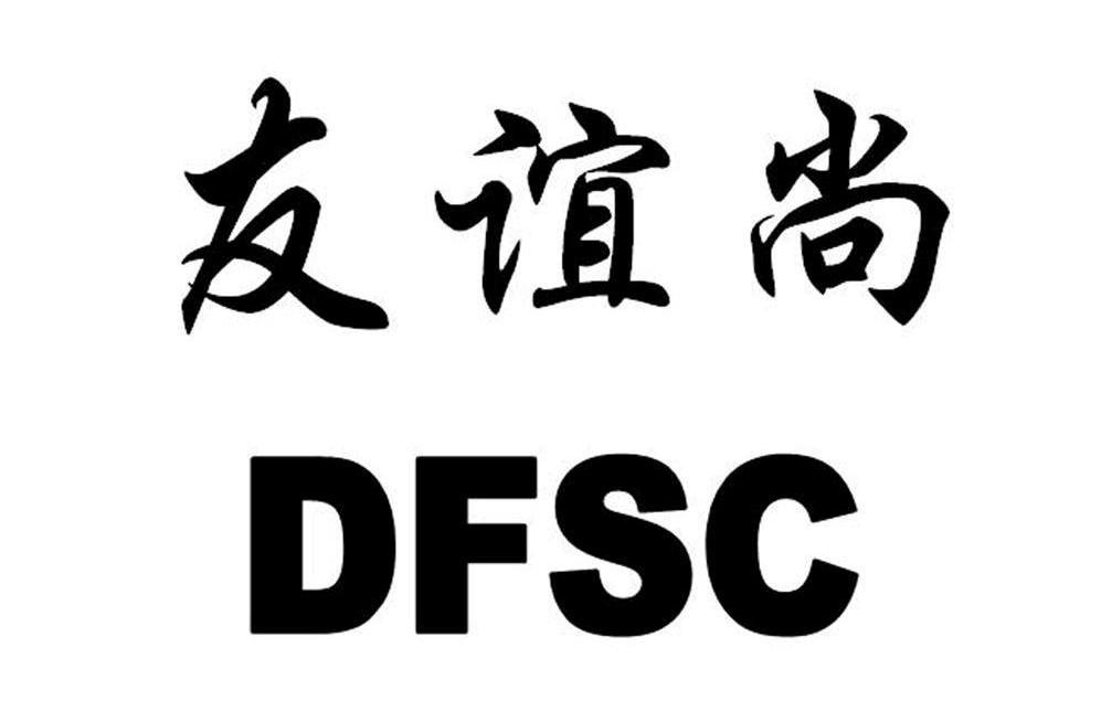 友谊尚 DFSC