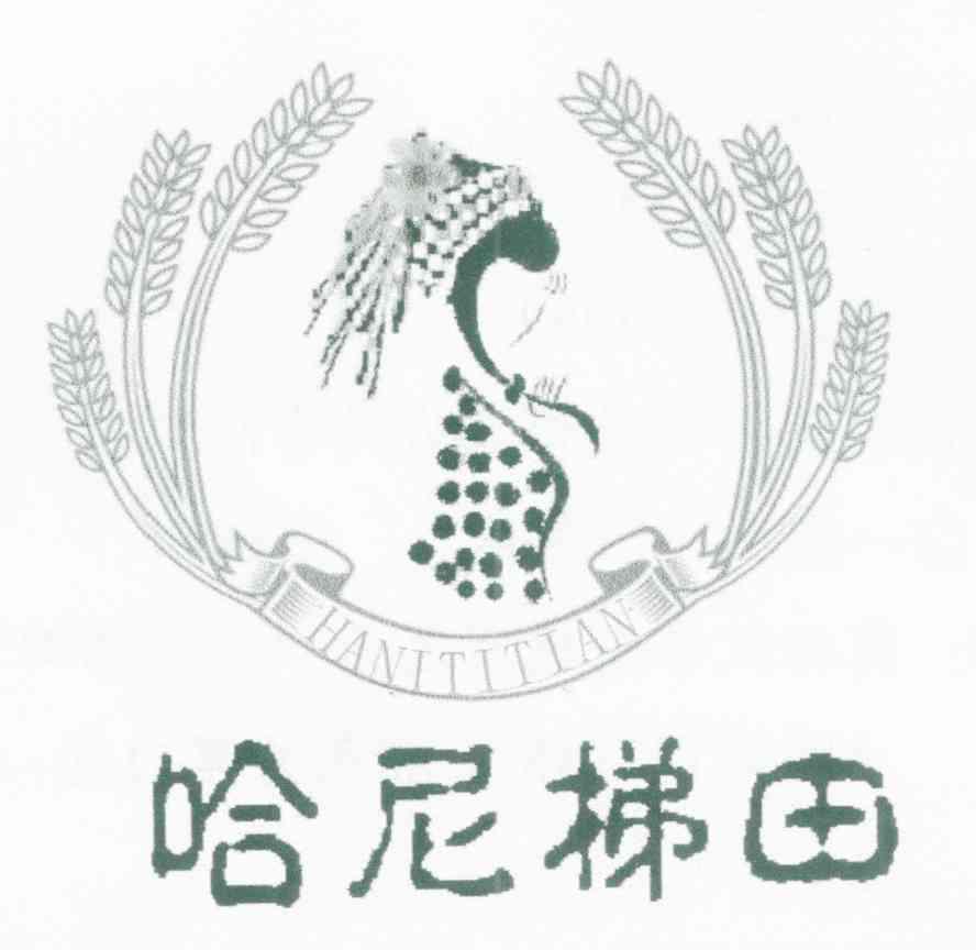 哈尼梯田