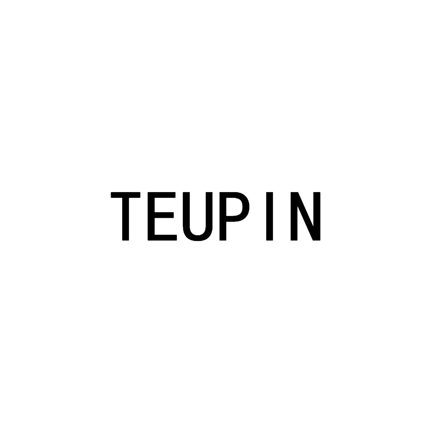 TEUPIN