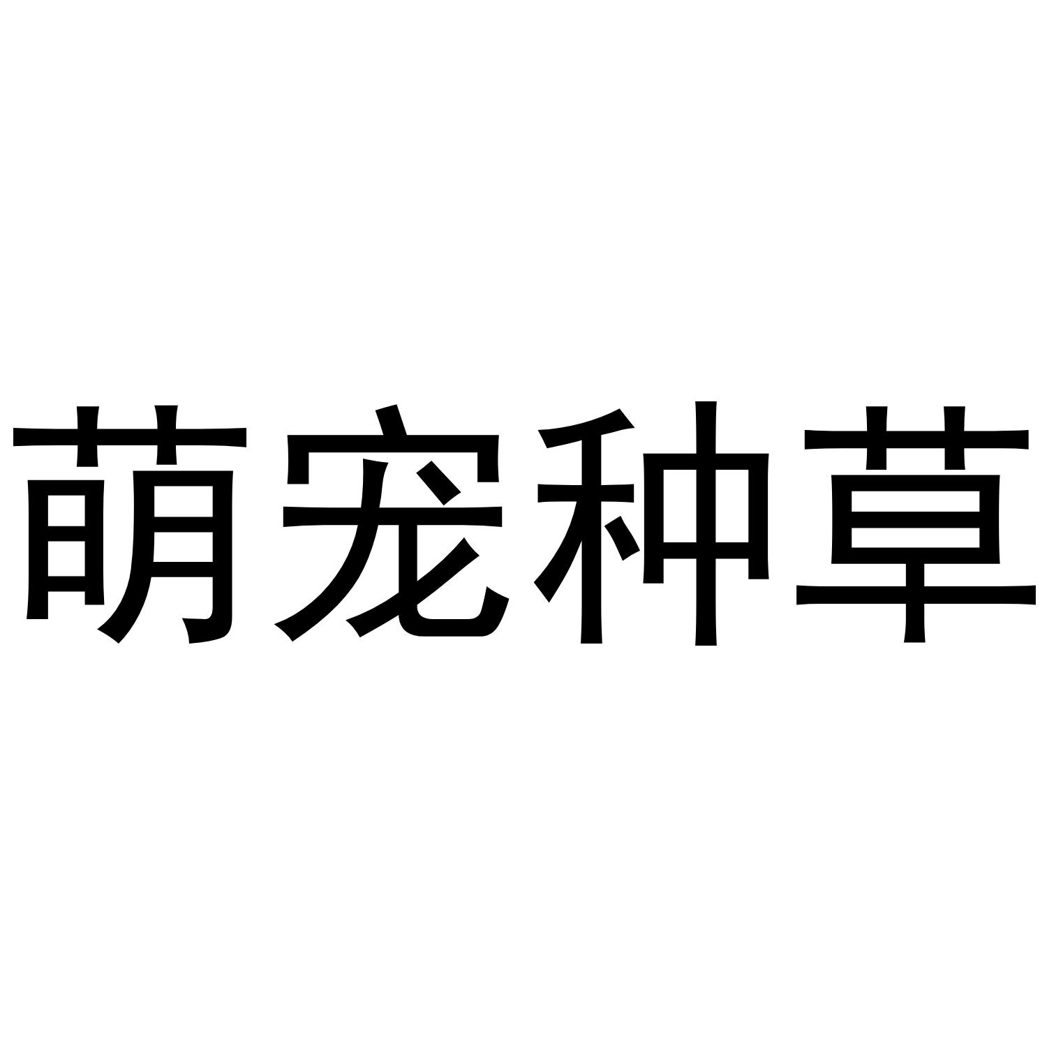 萌宠种草