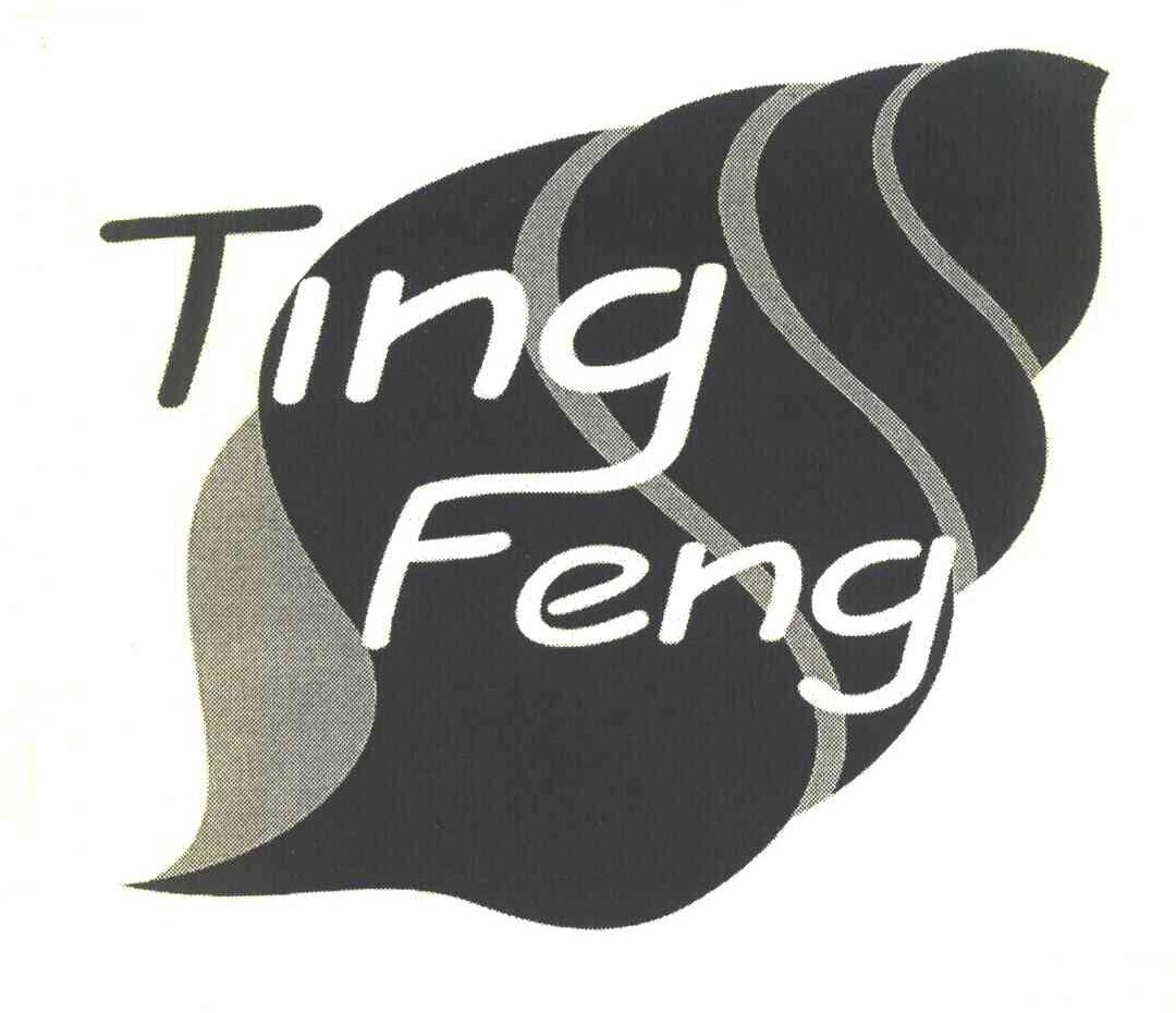 TING FENG