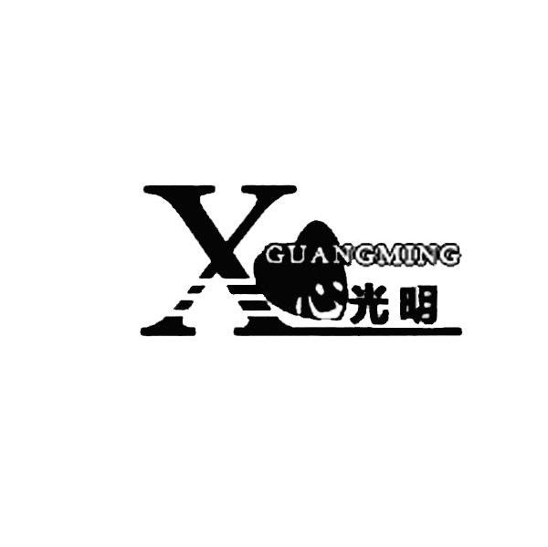 心光明 X GUANGMING