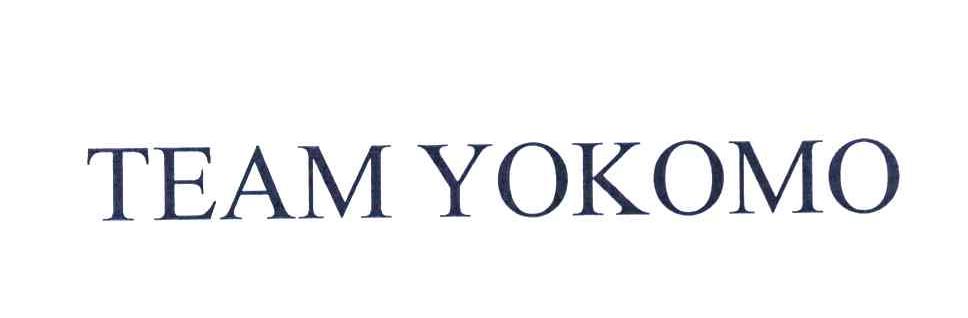TEAM YOKOMO