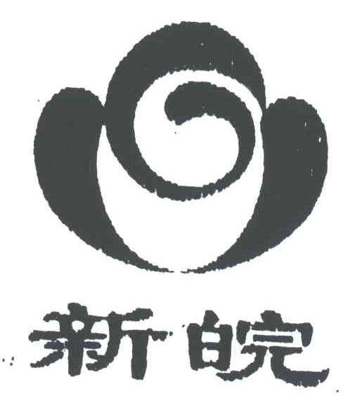 新皖