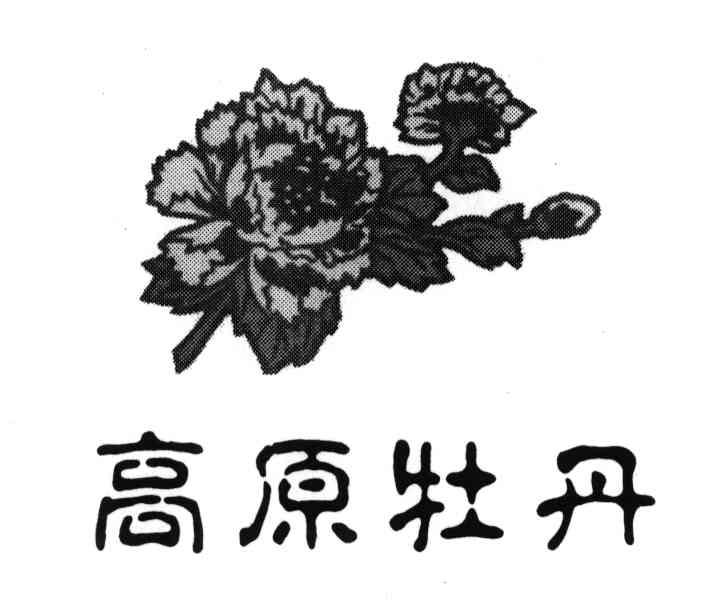 高原牡丹