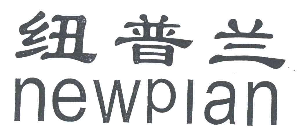 纽普兰;NEWPLAN