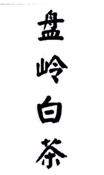 盘岭白茶