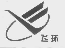 飞环