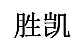 胜凯